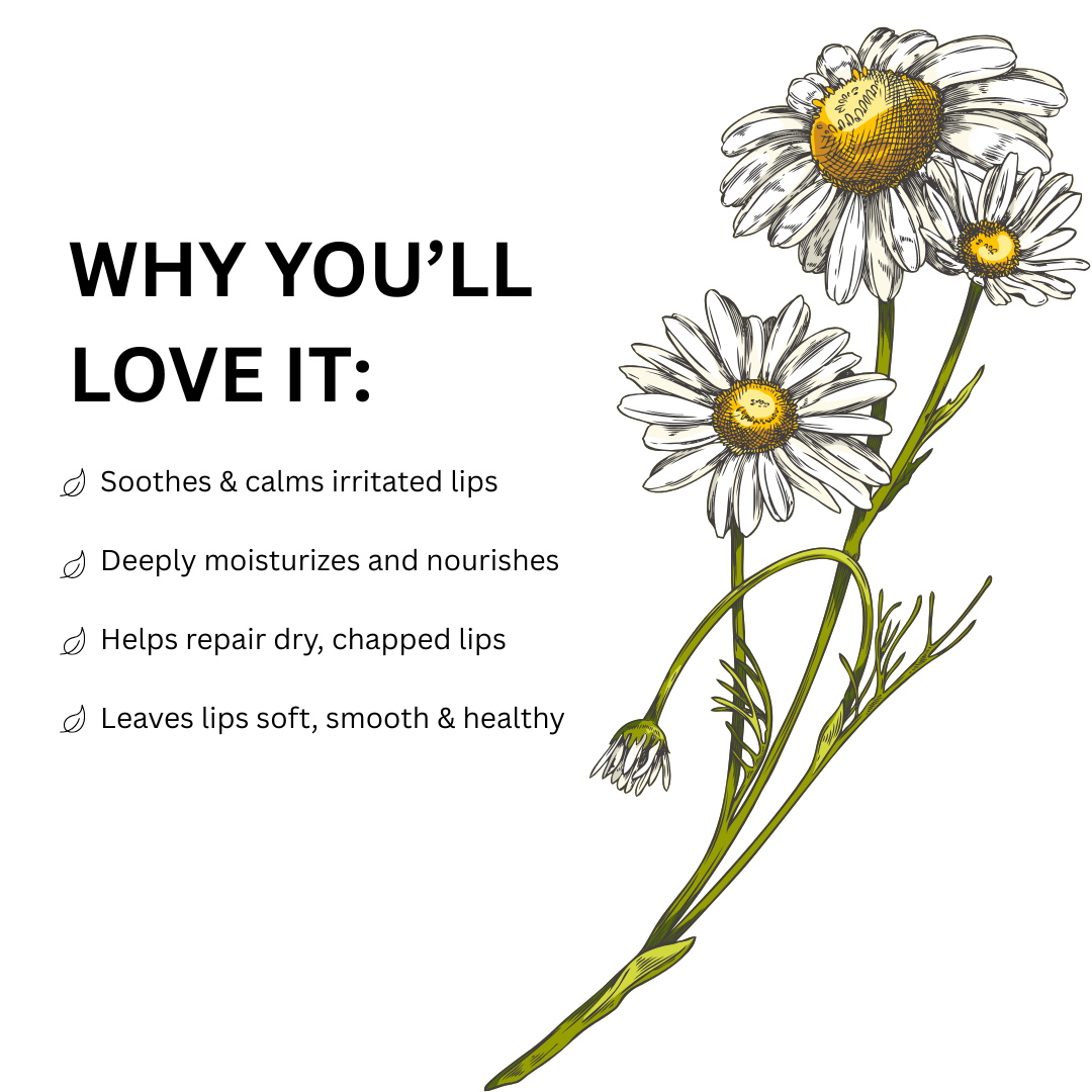 Chamomile lip balm   mysuru naturals