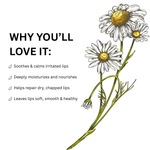 Load image into Gallery viewer, Chamomile Lip Balm - Mysuru Naturals
