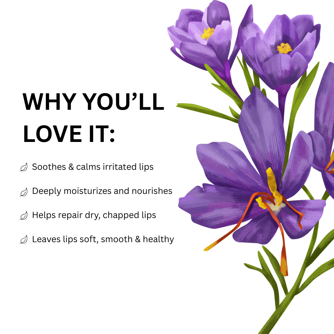 Saffron luxury lip balm   mysuru naturals