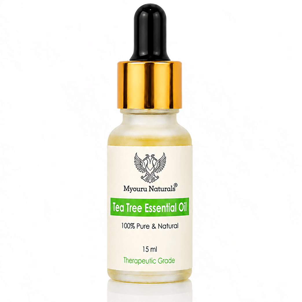 Tea tree essential oil   mysuru naturals