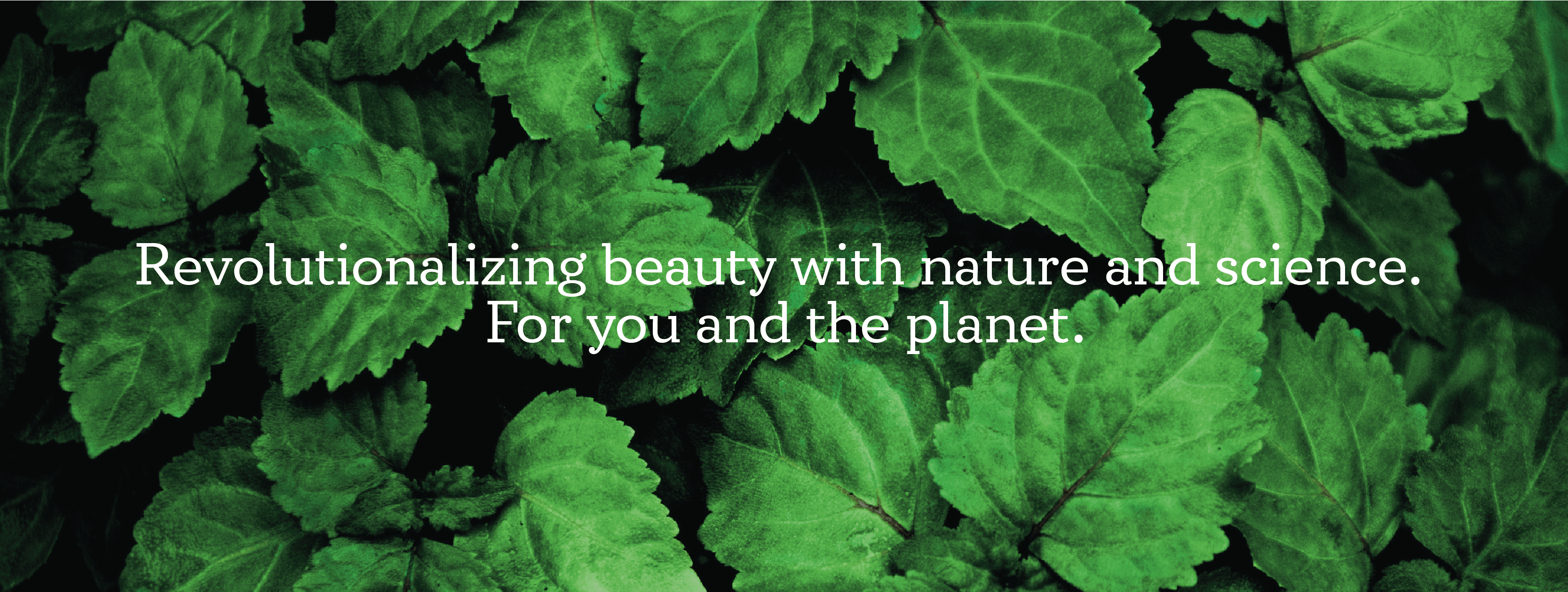 Mysuru Naturals - About Us Banner